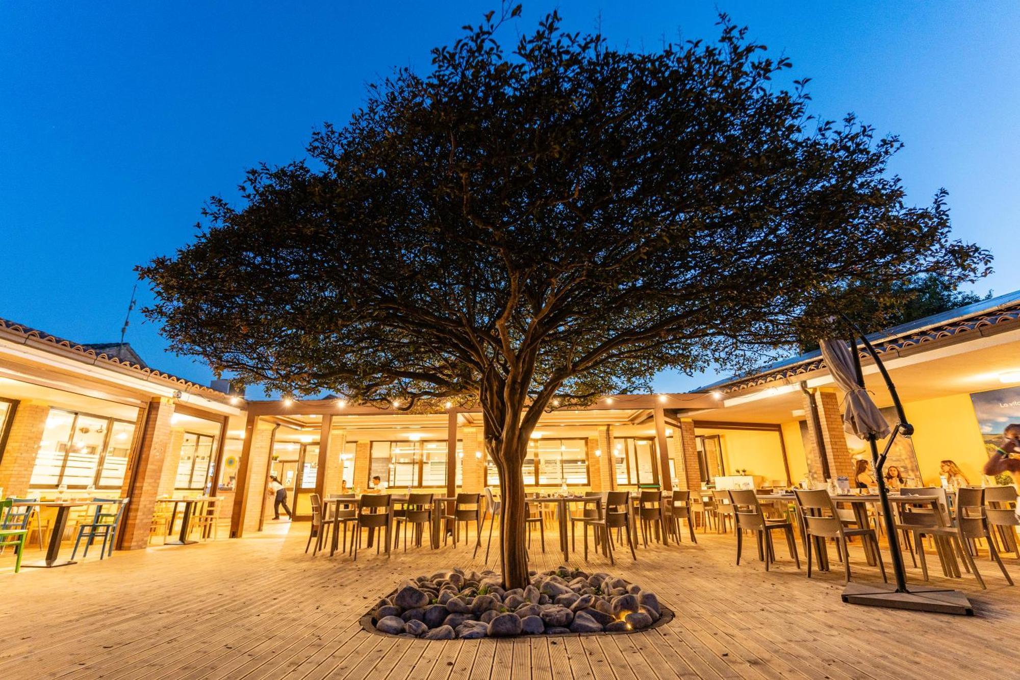 Club Del Sole La Risacca Family Collection Hotell Porto SantʼElpidio Eksteriør bilde